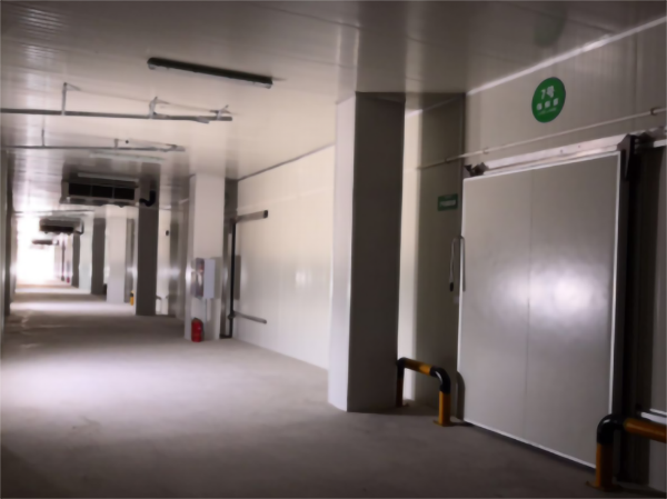 食品公司內(nèi)建造一個1000平包子、水餃速凍冷庫費用是多少?