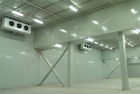 速凍冷庫(kù)設(shè)計(jì)注意事項(xiàng)及其具備功能有哪些？