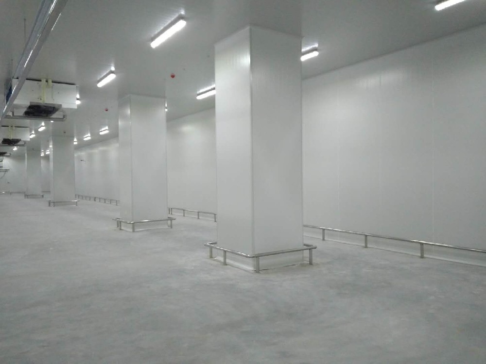 建造200噸的肉類冷鏈冷凍庫如何做好規(guī)劃設計?