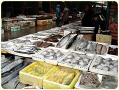 上海海鮮低溫冷庫建造，水產品低溫冷庫造價