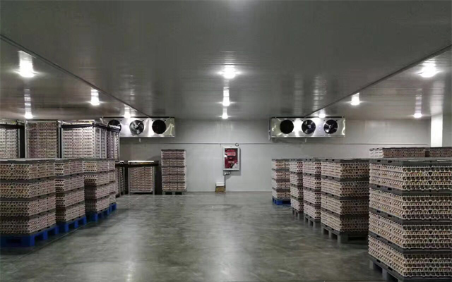 20000立方米生鮮物流冷庫建造工程價格，冷庫方案