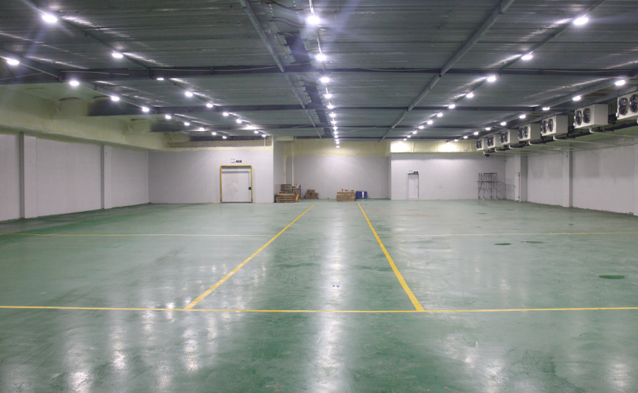 300噸提子葡萄冷藏庫造價(jià)，提子葡萄冷藏庫設(shè)計(jì)