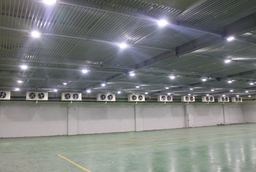  -18~-25℃冷庫設(shè)計(jì)建造價格，600噸冷凍庫造價