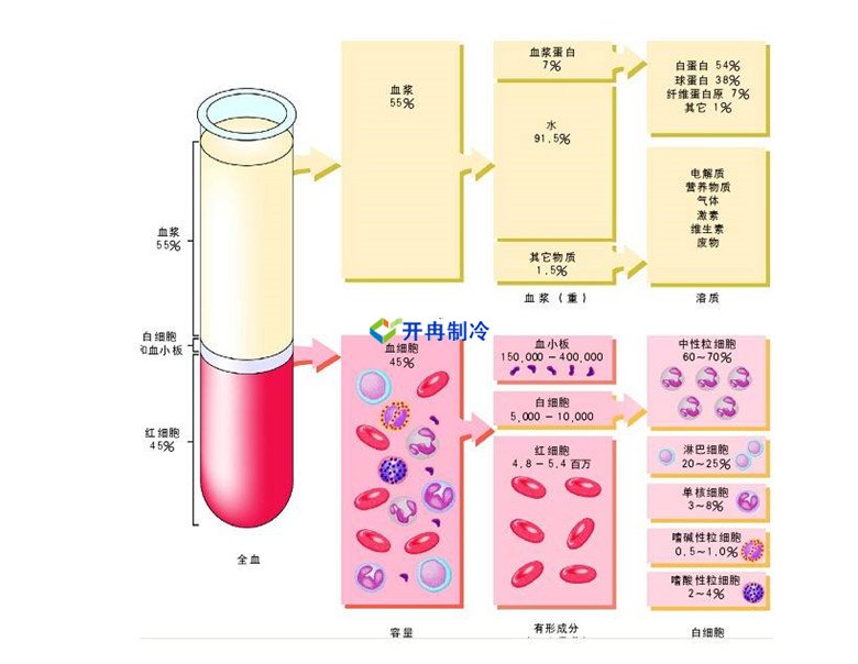 -30℃～-80℃血漿蛋白低溫冷凍庫規范，冷庫安裝價格