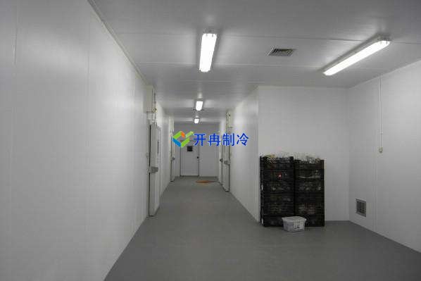 定制酒店冷凍庫、食堂雙溫庫、餐飲冷藏庫工程造價
